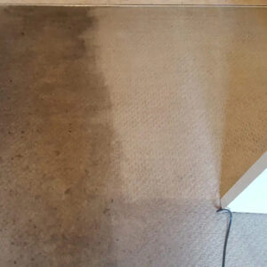 Carpet Cleaning Before & After