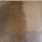 Carpet Cleaning Before & After