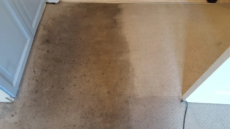 Carpet Cleaning Before & After