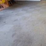Carpet Cleaning Before