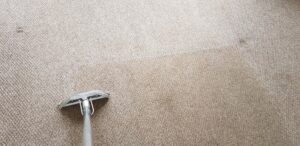 Carpet Cleaning Before & After
