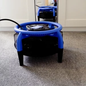 Professional air mover drying a freshly cleaned carpet in a Peterborough home
